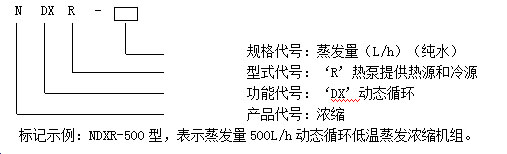 c55.jpg